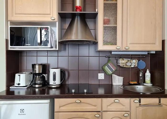 Classic In Old Town Apartamento Tallin